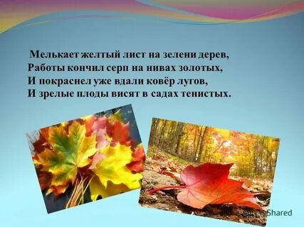 Дни поздней осени бранят обыкновенно грамматическая основа