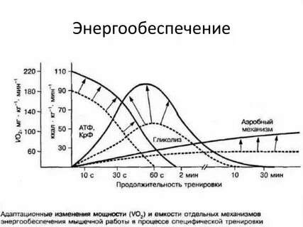 Энергетические режимы