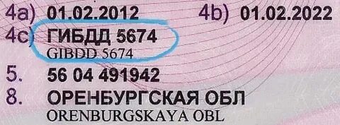Код гая