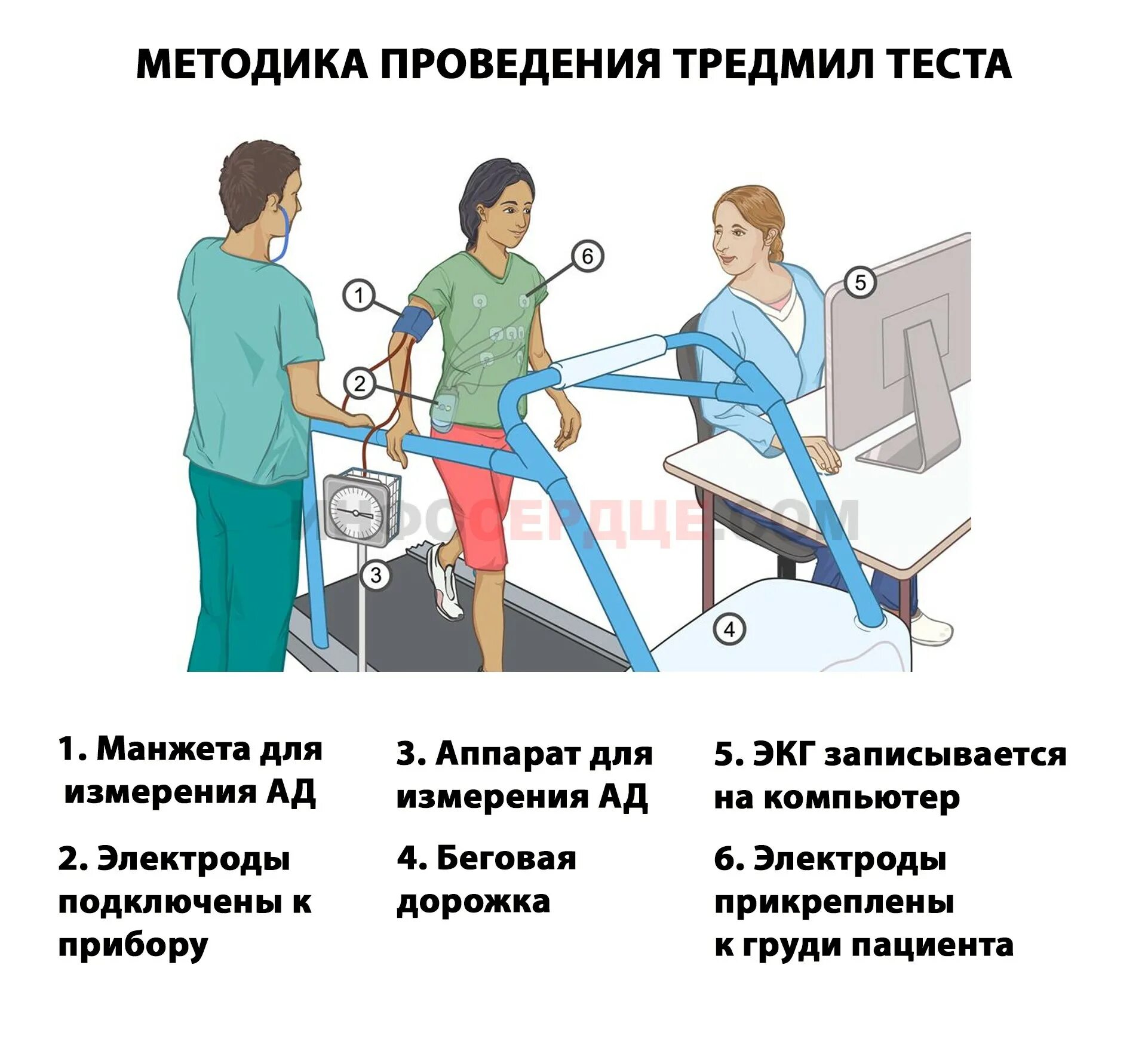 Обучение пациента тест. Тредмил тест. Методика проведения тредмил-теста. Методы проведения велоэргометрия. Велоэргометрия методика проведения пробы.