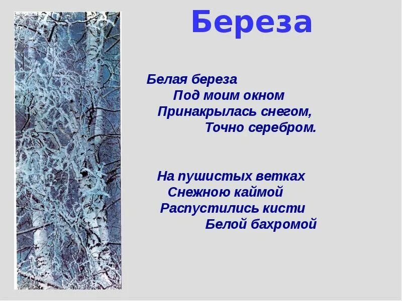 Стихи пушкина береза. Стихотворение белая береза. Белая берёза стих. Стих белая берёза под моим. Белая берёза под моим окном стих.