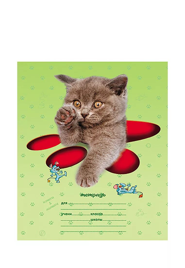 Тетрадь кошка. Тетрадь Хатбер с кошками 12 листов. Тетради с кошками. Тетрадки с кошками. Обложки на тетради с кошками.