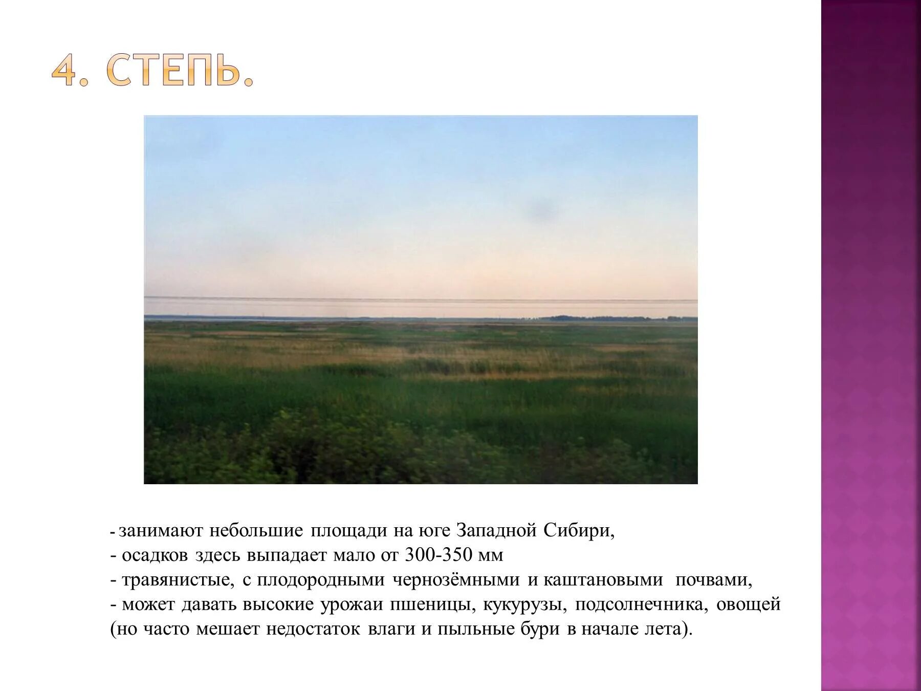 Площадь территории занятой западно сибирской равнины. Степи занимают:. Степи Западно сибирской равнины. Занимаемая территория степей. Характеристика степи.