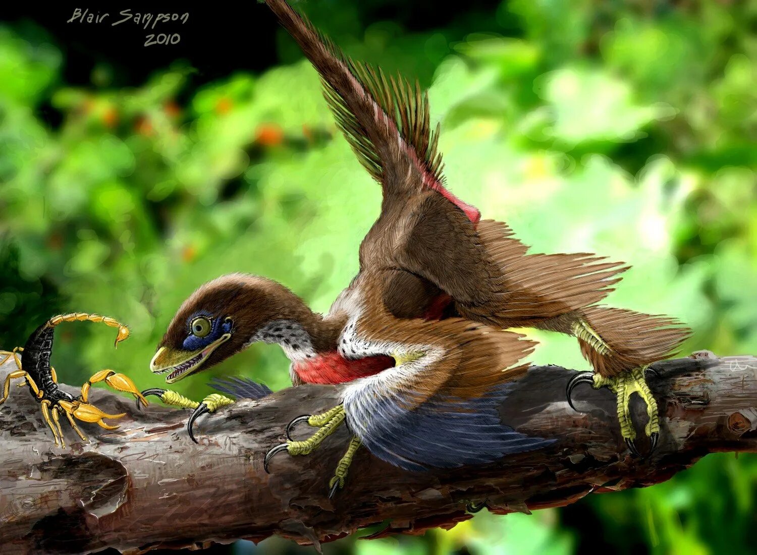 Микрораптор. Microraptor zhaoianus. четырехкрылый микрораптор. микрораптор динозавр. микрораптор гуи.