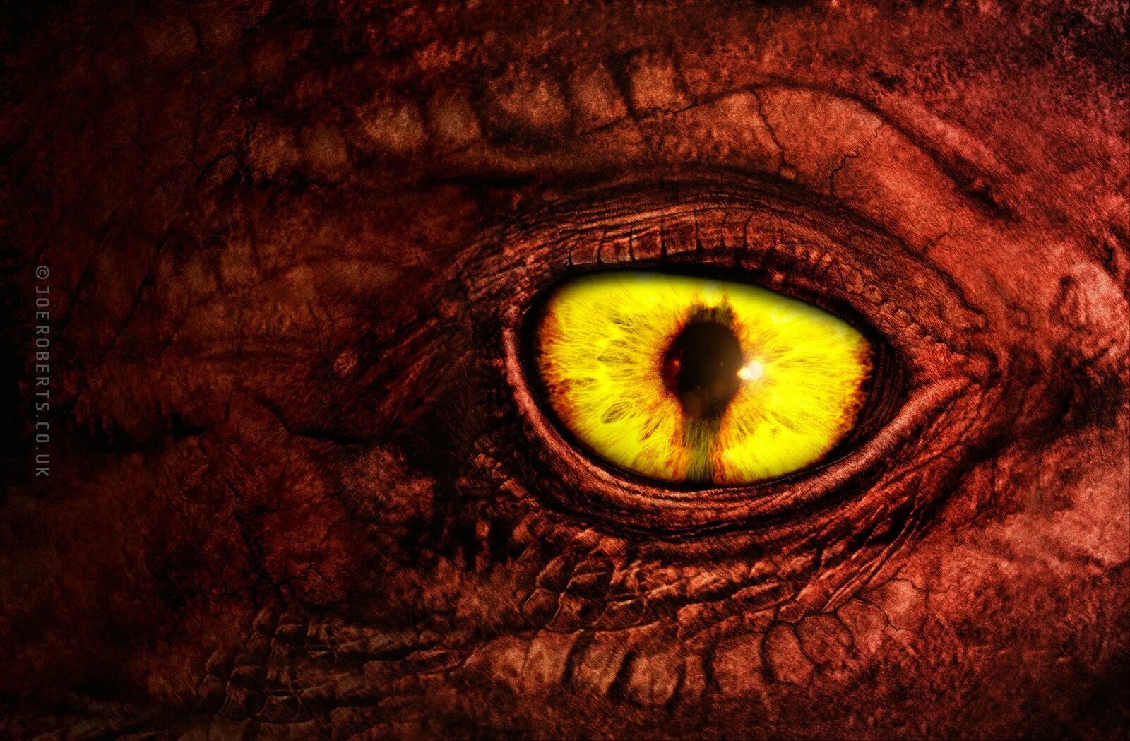 Глаз вон. Глаз дракона. Глаз рептилии. Желтый глаз дракона.