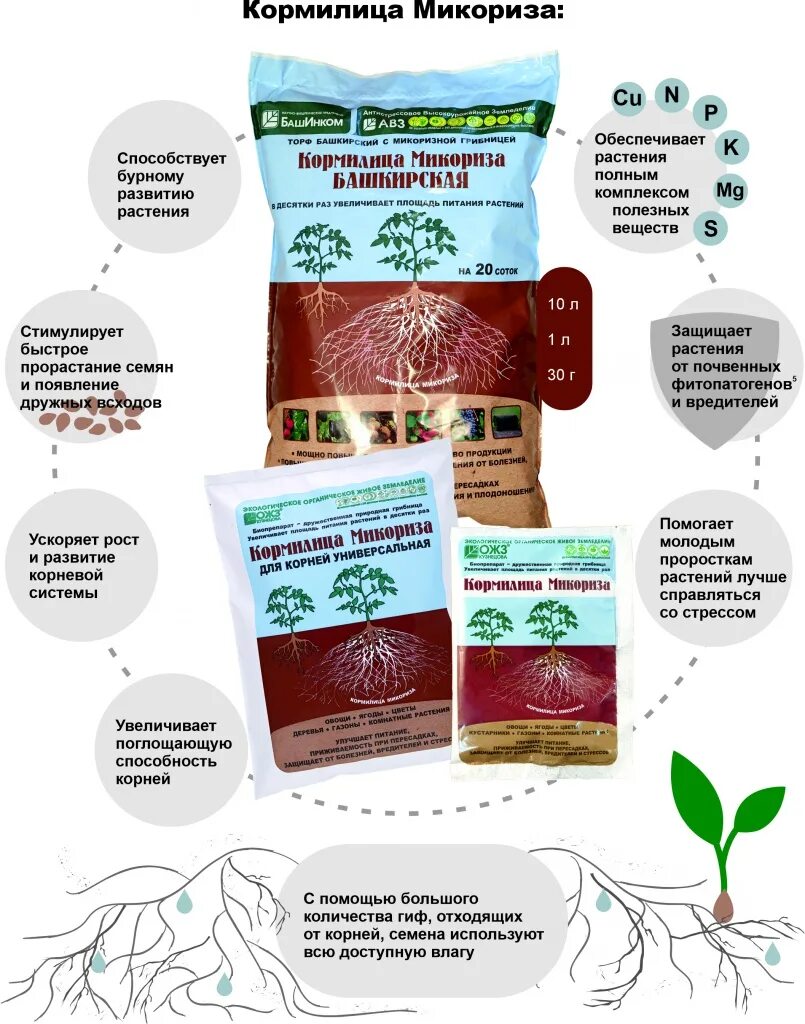 Микориза для рассады инструкция по применению. Удобрение кормилица микориза. Микориза эксперимент кормилица. Семена микориза. Микориза препарат.