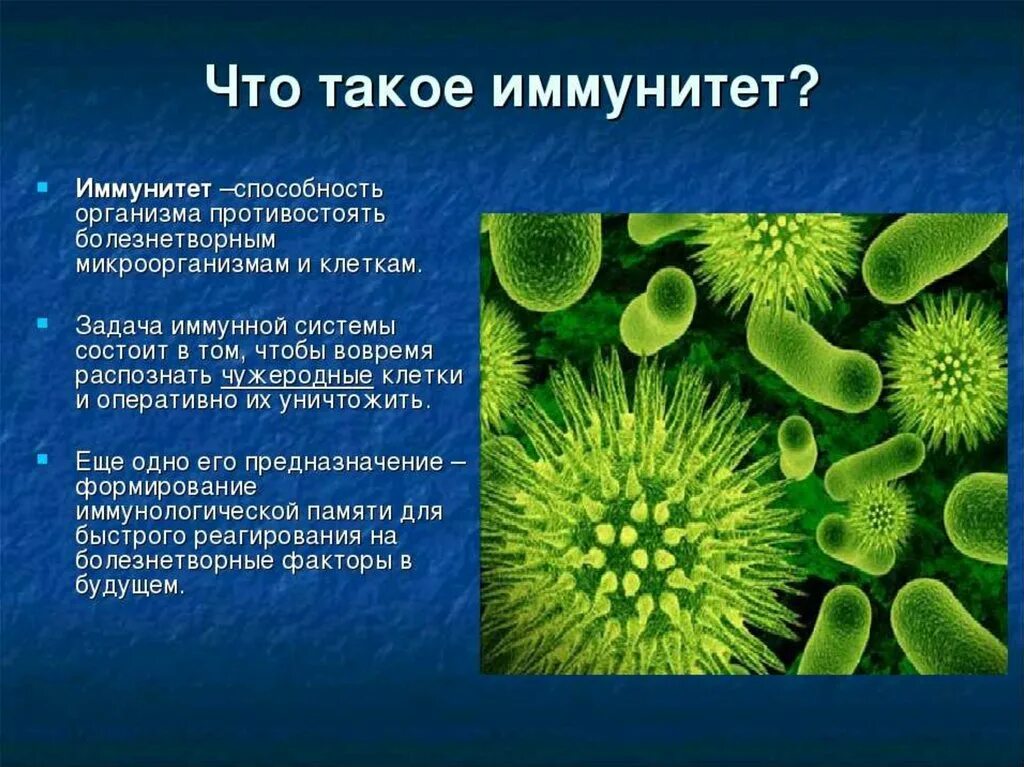 Иммунная система бактерий. Иммунитет презентация. Иммунитет человека презентация. Тема иммунитет биология. Иммунитет человека кратко.