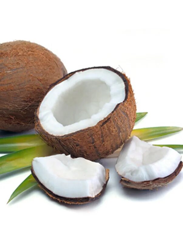 Кокосовое масло. Кокос строение плода. Кокос плод костянка. Нанесение маски на волосы. Кокосовое масло для еды.