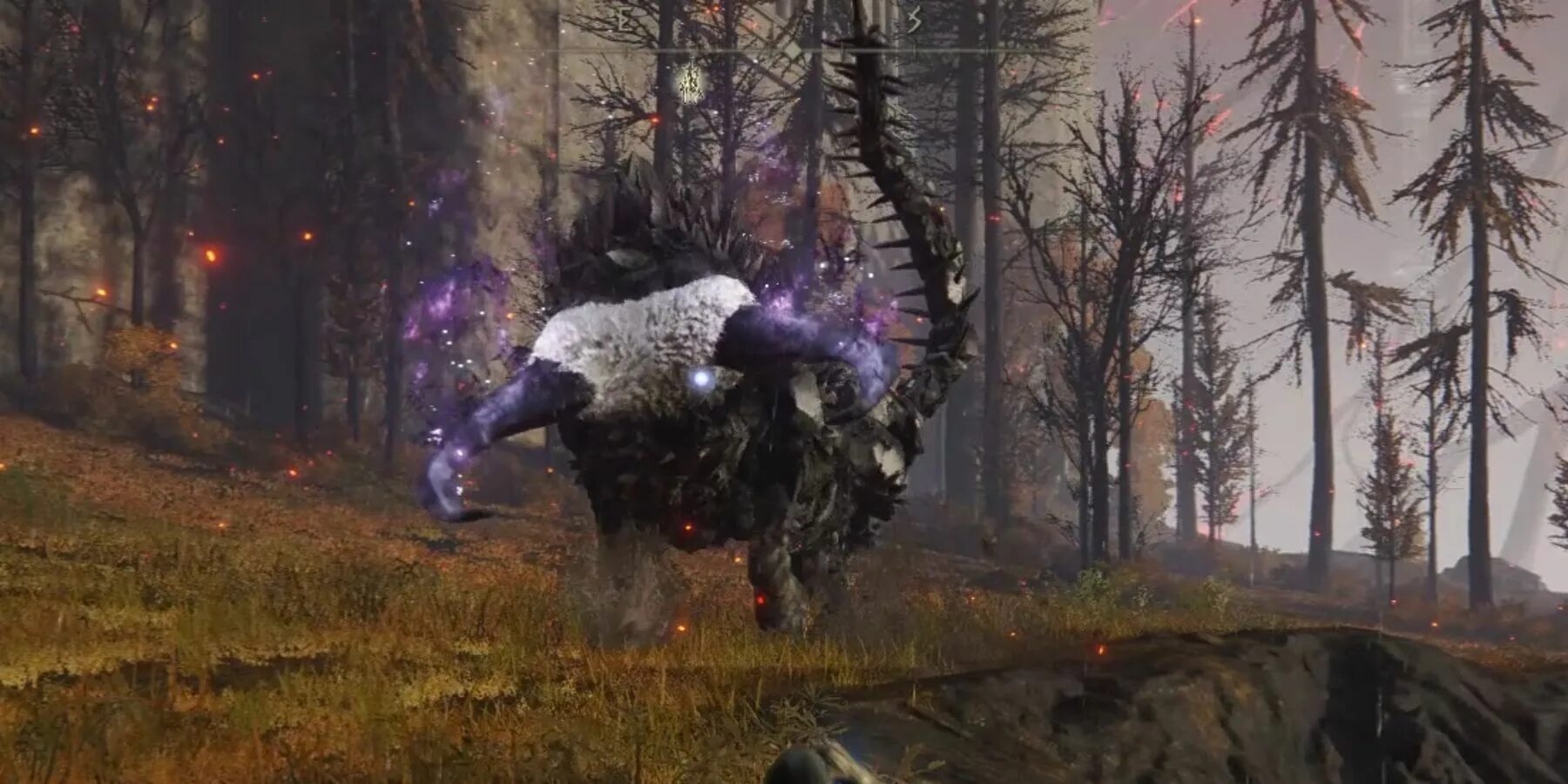 Элден ринг зверь падающей звезды. Как победить зверя. Как победить зверя. Как победить зверя. Элден ринг falling star beast.