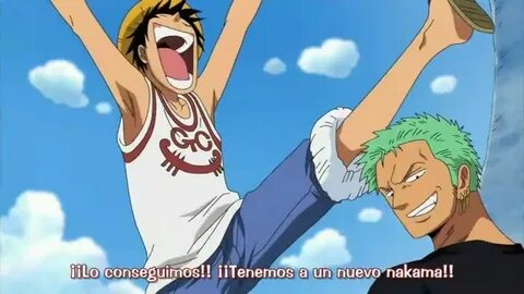 One piece twitter