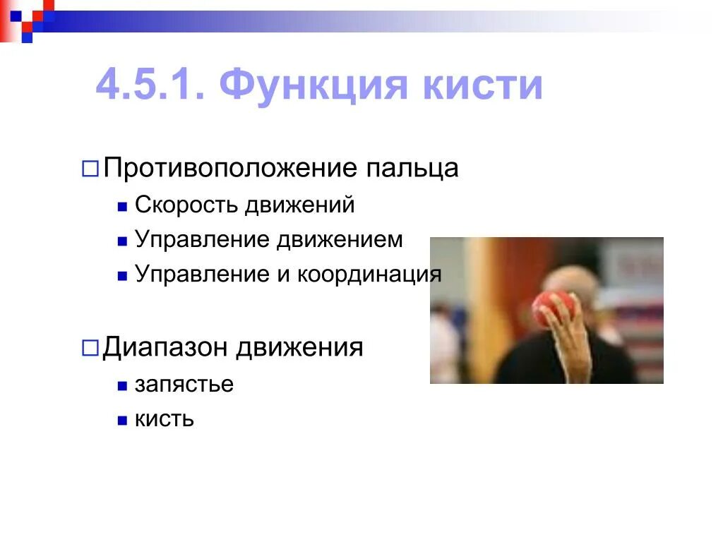 Функции рук это. Функции кисти. функции запястья. функции кисти руки. функции пальцев кисти.