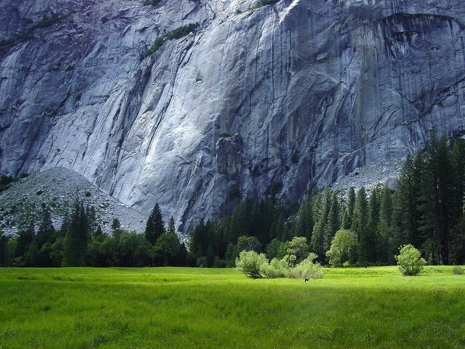 Pic картинки. Pic картинки
