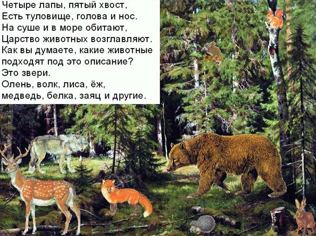 Берегите животных окружающий мир третий класс. Берегите животных. презентация на тему берегите животных для старшей группы. береги животных 3 класс окружающий мир. берегите животных для дошкольников.