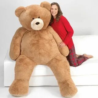 Big teddy
