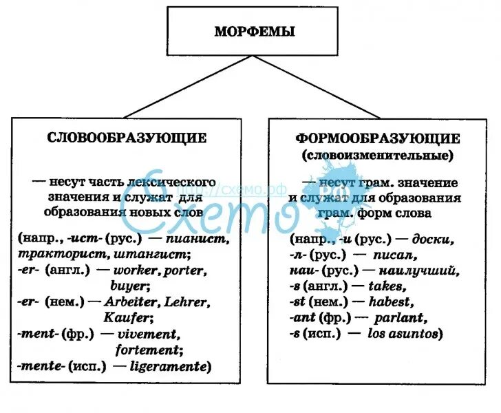 Морфемы и словообразование. Морфемы русского языка с примерами. Морфемика и словообразование схема. Словообразовательные и формообразующие морфемы. Морфемная таблица