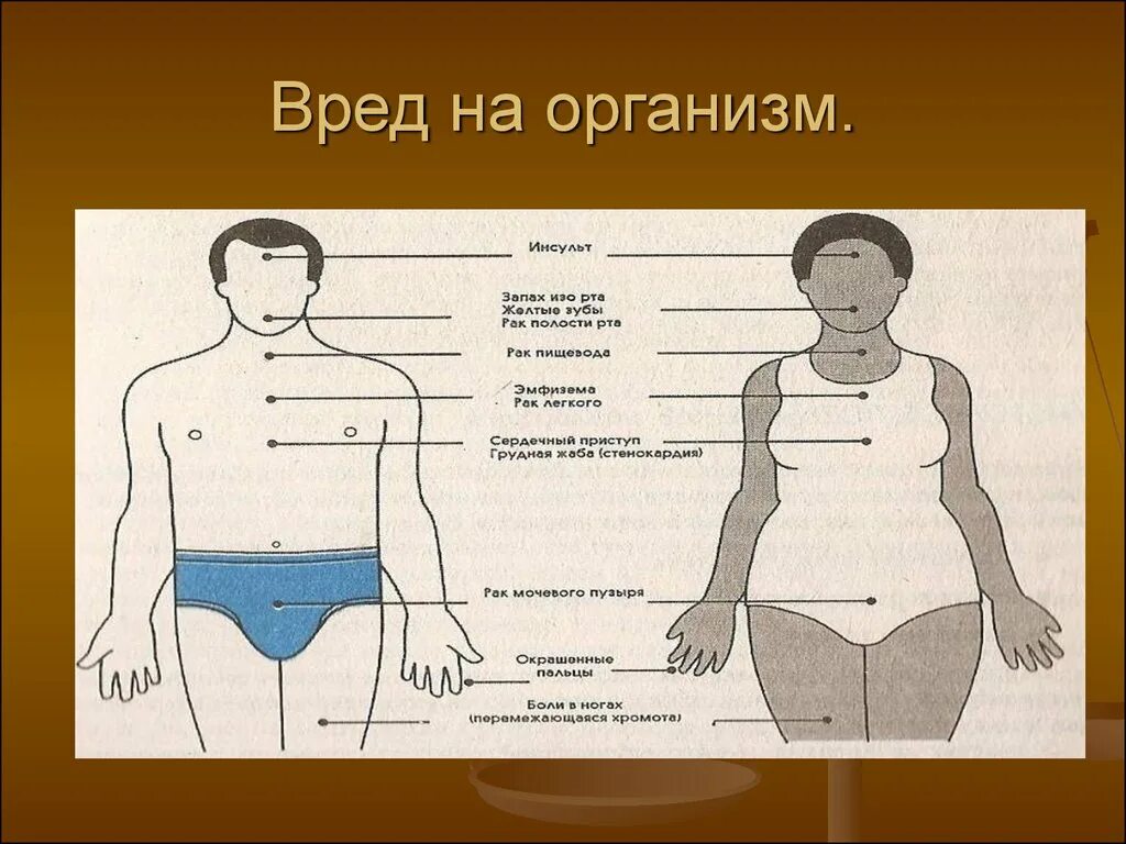 Loop вред. Вредный организм. воздействие радиации на организм человека. вред человеку.