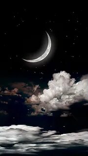 Thought night