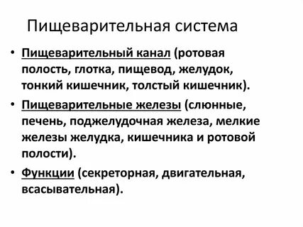 Перечислите органы пищеварительного канала