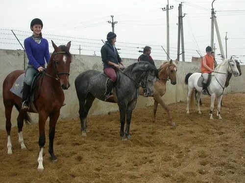 ипподром махачкала