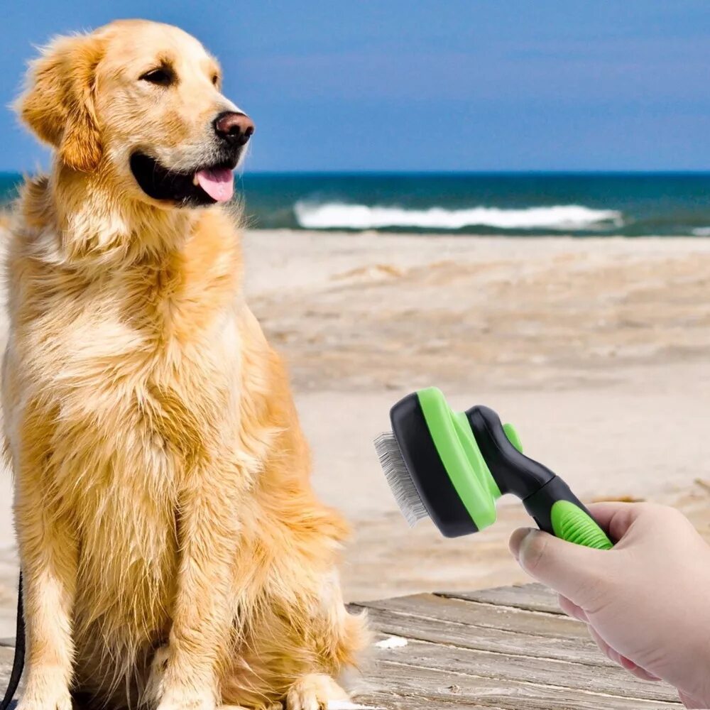 Самоочищающаяся собака. Pet Grooming. DOGSELF фото. Clean Puppy.