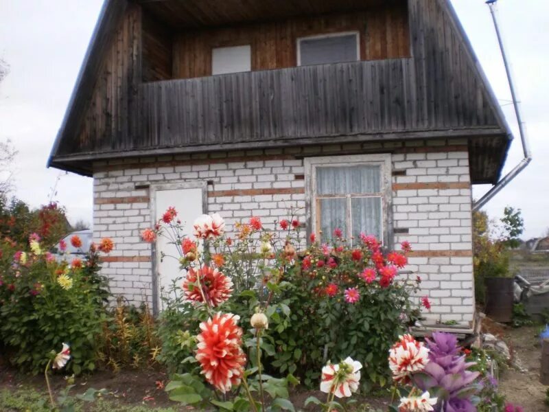 Соликамск дачи. Соликамский огороды. Дачная 4 Соликамск. Северная 50 Соликамск. Соликамск объявления куплю