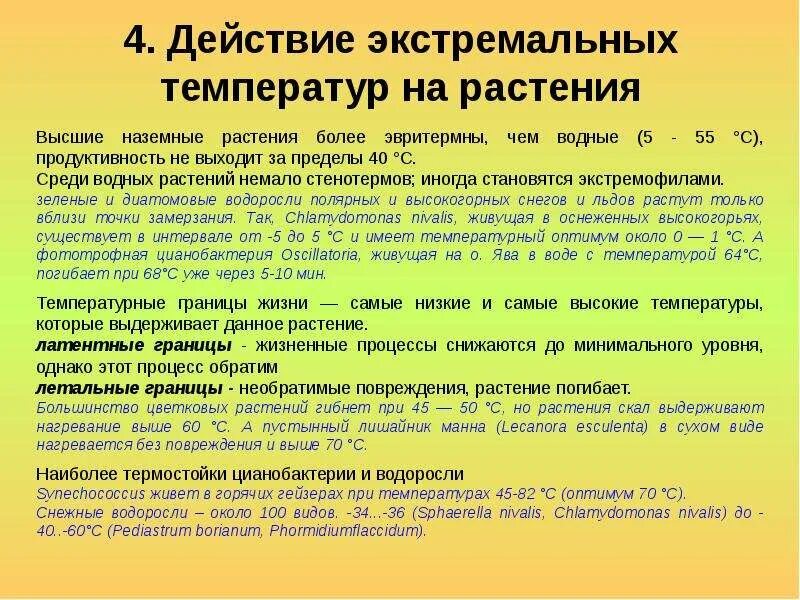 Действие экстремальных температур на растения. Водоросли живущие в экстремальных условиях. Низкие температуры для растений. Водоросли живущие в экстремальных условиях при низкой температуре.