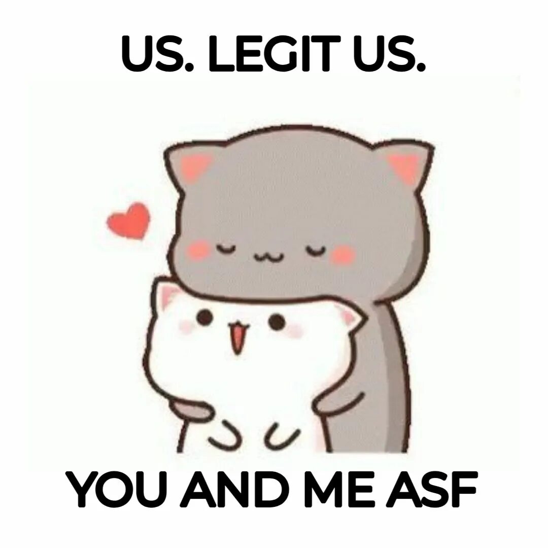 I m a cat
