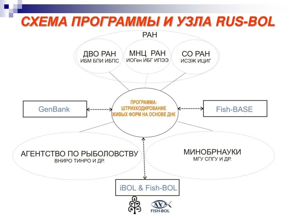 Program diagram