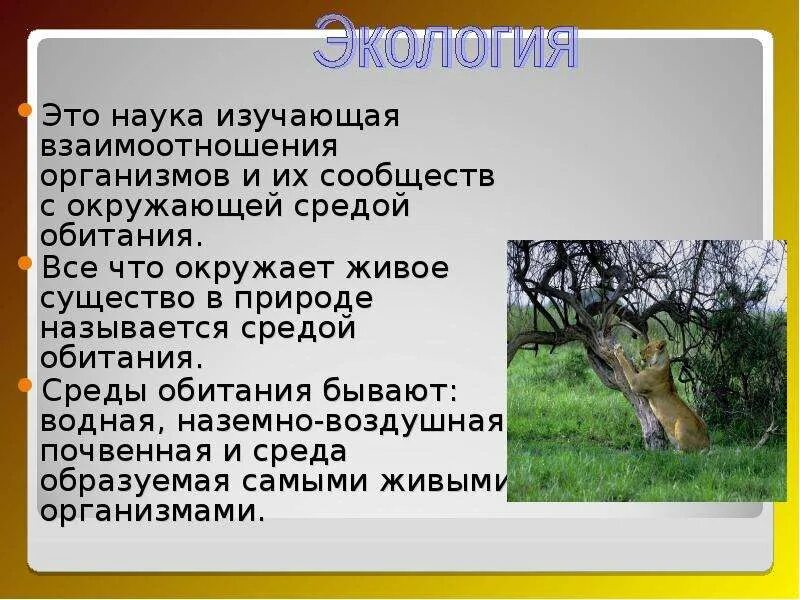 Какие среды обитания освоил клен. Взаимоотношения организмов со средой обитания. Наука изучает взаимосвязи организмов и окружающей среды?. Наука изучающая взаимоотношения организмов с окружающей средой. Наука изучающая взаимодействие организмов между собой и с окружающей.