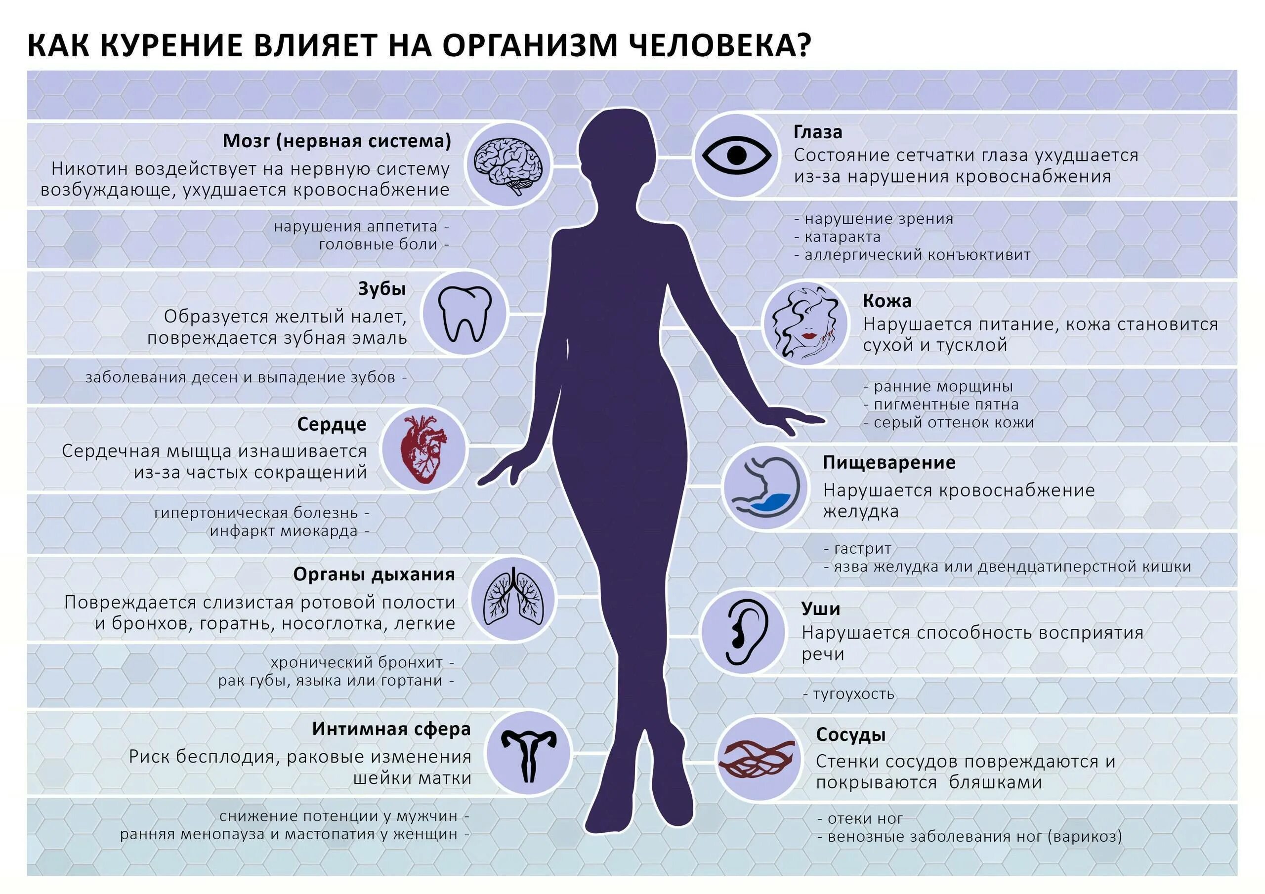 Почему становятся вредными. Как курение влияет на организм человека. Влияние курения на организм. Влияние табакокурения на организм человека. Влияние сигарет на организм человека.