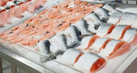 Качество мороженой рыбы