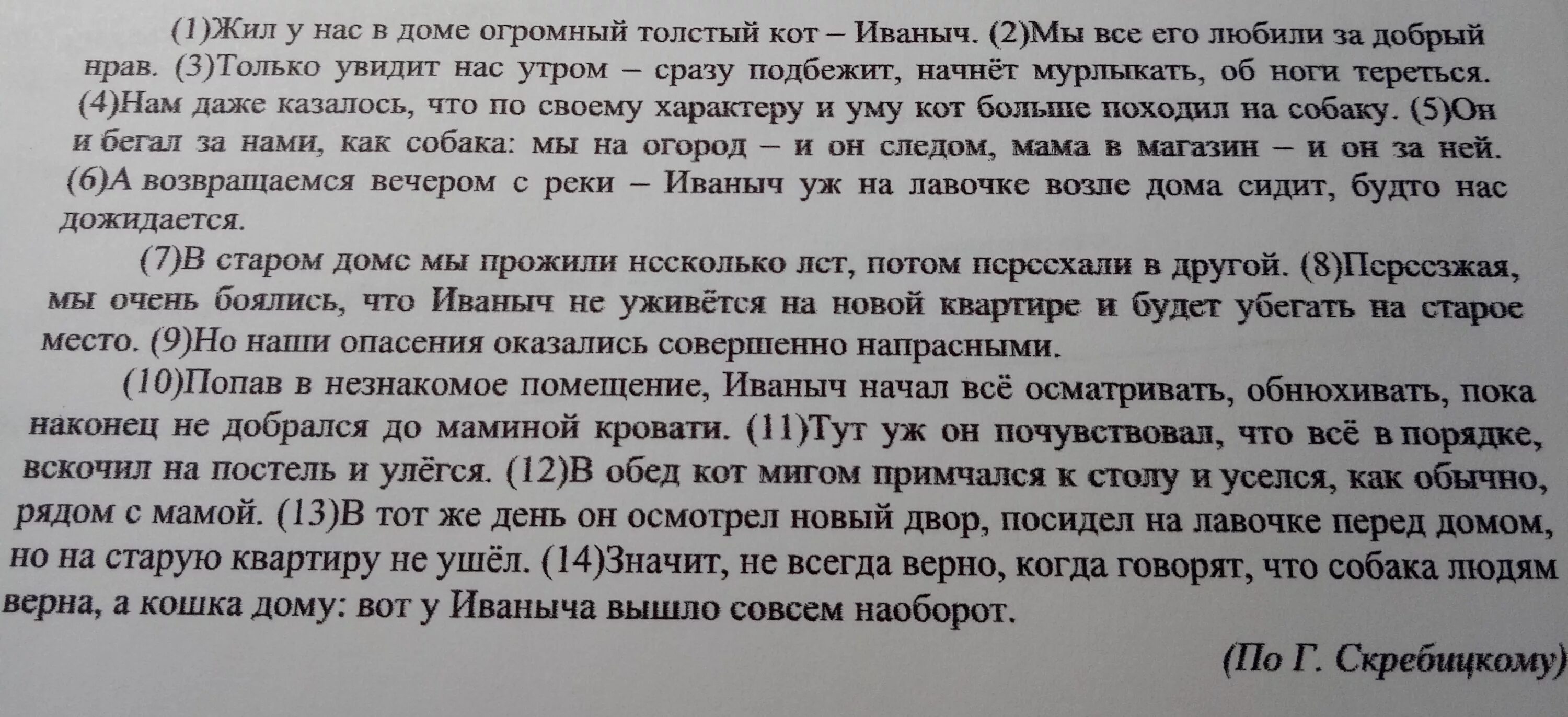 Кот Иваныч. Жил у нас дома огромный толстый кот Иваныч. Текст жил у нас в доме толстый кот Иваныч доме. Жил у нас в доме огромный толстый кот Иваныч основная мысль. Основная мысль текста я возвращался с охоты