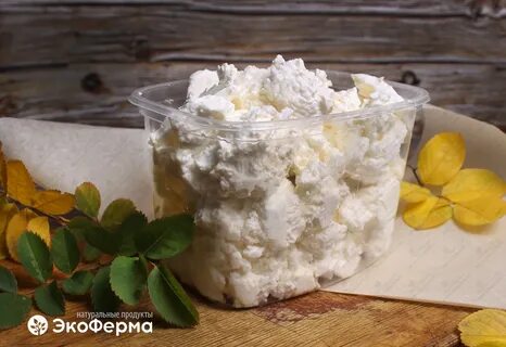 Творог с козьего молока рецепт