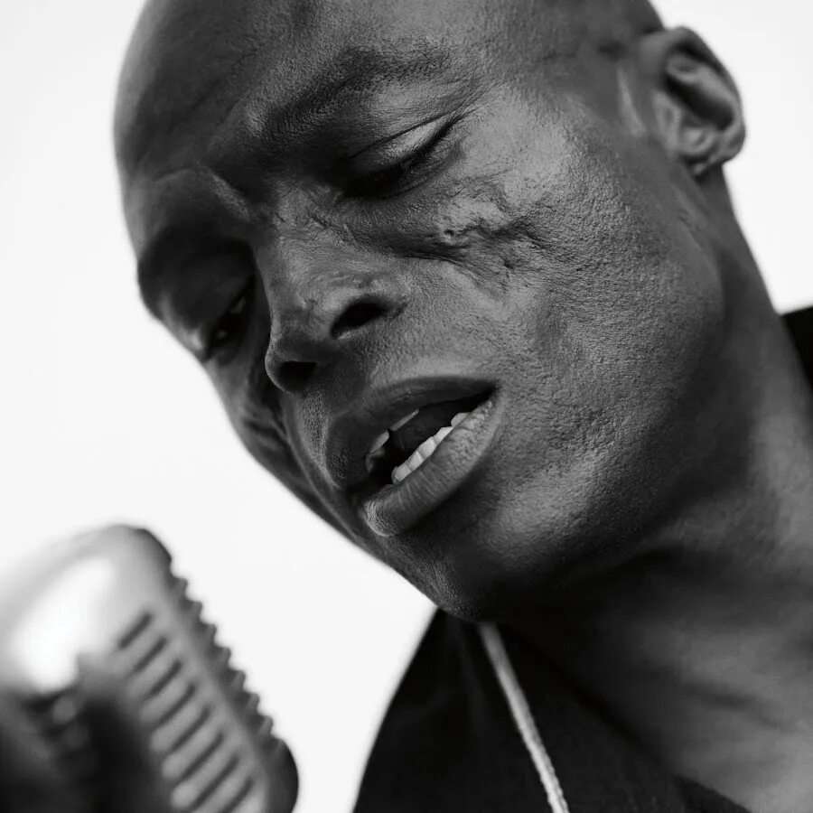 Seal - Standards White Vinyl Vinyl LP 2017 - купить пластинку в интернет магазин