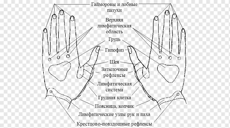 Акупунктурные точки ладони схема. Схема биологически активные точки ладоней рук. Акупунктура и акупунктурные точки на руке. Точечный массаж руки схема. Точки на запястье руки