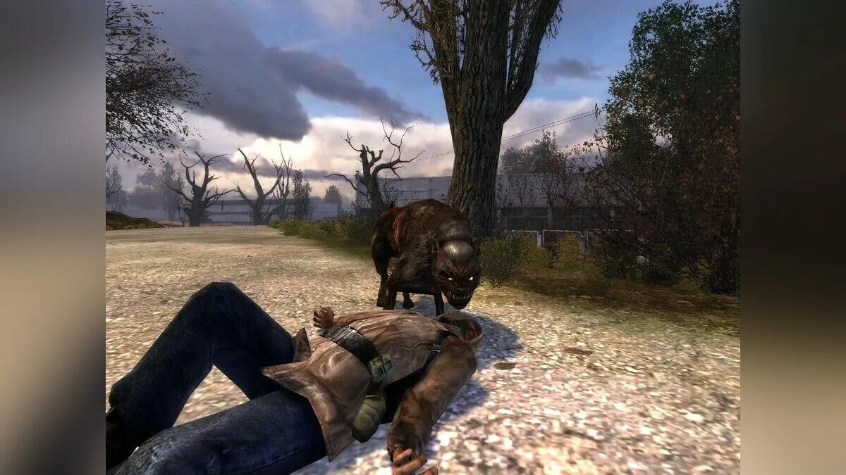 Как выйти из игры сталкер. S.t.a.l.k.e.r.: тень чернобыля. сталкер 1998. сталкер игра 2007. тень чернобыля 2007.