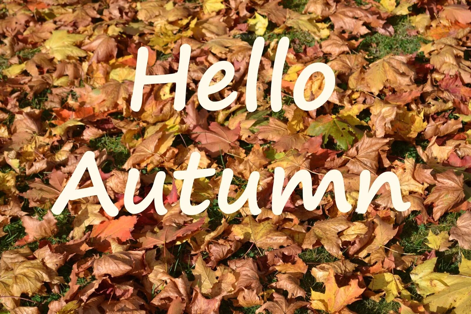 Октябрь картинки с надписями. Привет осень на английском. Hello autumn надпись. Hello осень. Hello autumn картинки