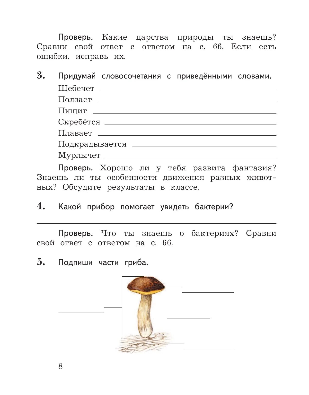 Проверочная работа по окружающему миру 2 класс