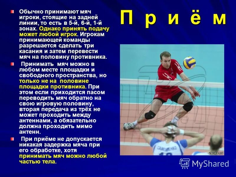 выпад в волейболе. как правильно принимать мяч в волейболе. как принимать мяч. как отбивать мяч в волейболе снизу. как отбить мяч в волейболе снизу двумя руками.