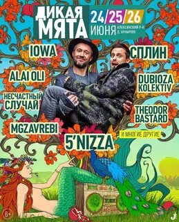 Дикая мята 2024