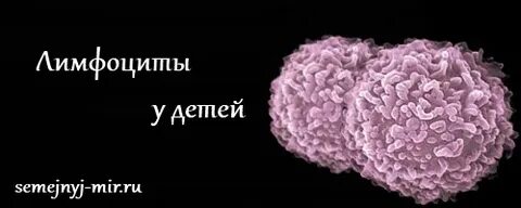 Увеличение лимфоцитов причина