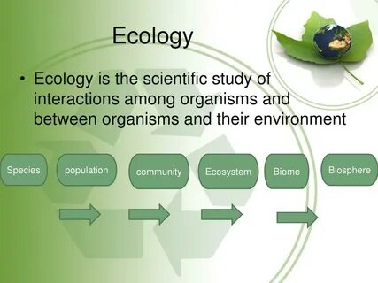 Science of the total environment