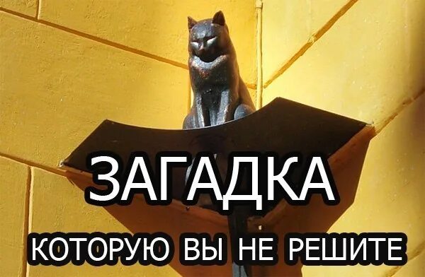 Загадка про кота. В каждом углу сидит по кошке. В комнате 4 угла в каждом углу сидит кошка. В углу сидит кошка напротив каждой кошки по 3 кошки.