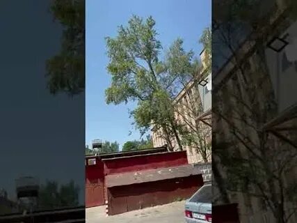 Школа героев юбилейный просп 36 отзывы