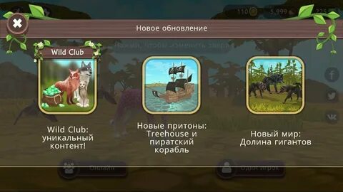 Вилд клаб