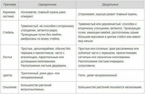 Проблемы с систематикой растений: Однодольные Сказки юного биолога Дзен