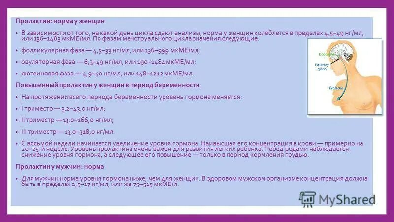 Повышенный пролактин в крови у женщин. Пролактин на какой день цикла сдавать. Пролактин на каво день. Пролактин на какой день цикла. Пролактин день цикла.