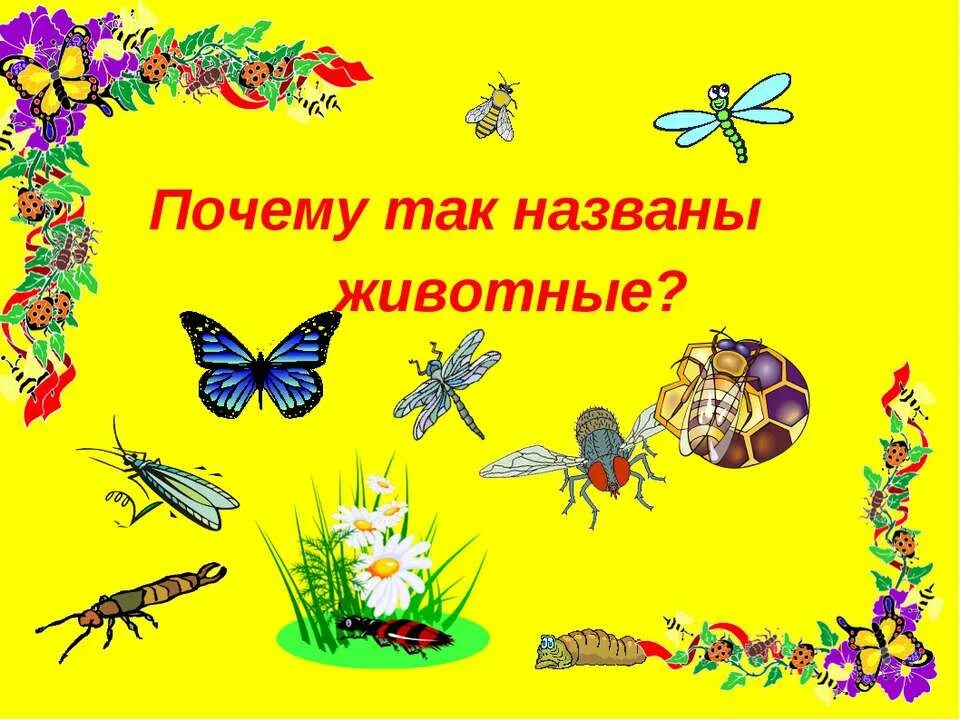 Личные местоимения почему так называются. Почему это так называется 2 класс. Почему так назвали. Жук слоник описание. Сочинение почему меня так назвали родители.