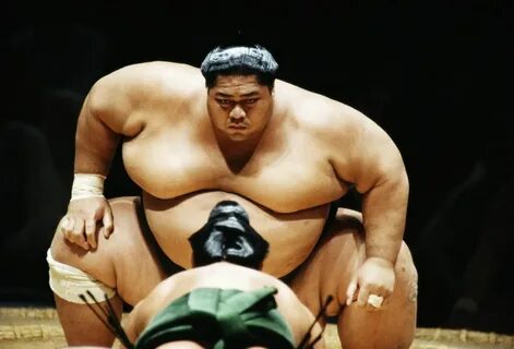skinny sumo wrestler - piecesofonye.com.