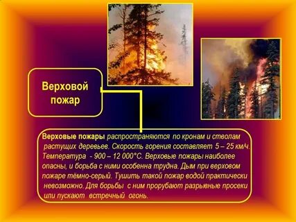 Сильный верховой пожар скорость распространения